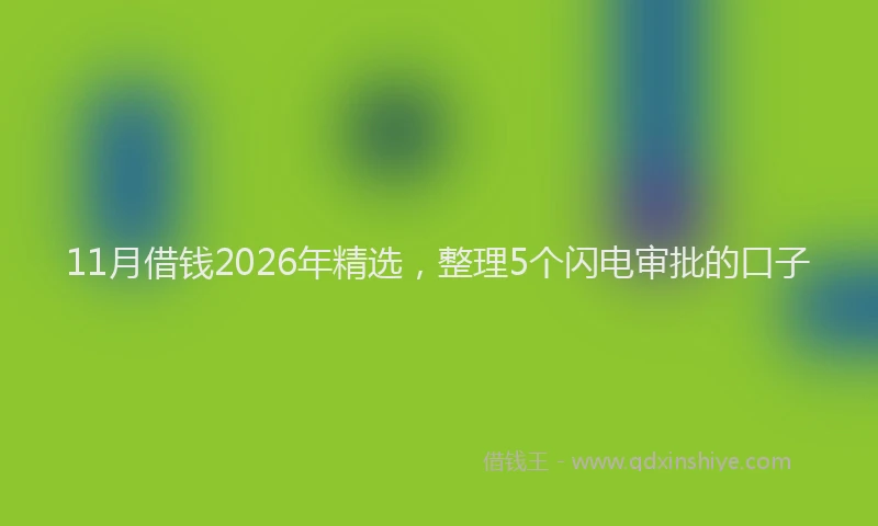 11月借钱2026年精选，整理5个闪电审批的口子