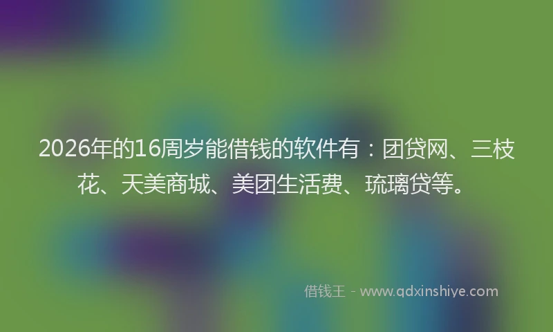 2026年的16周岁能借钱的软件有：团贷网、三枝花、天美商城、美团生活费、琉璃贷等。