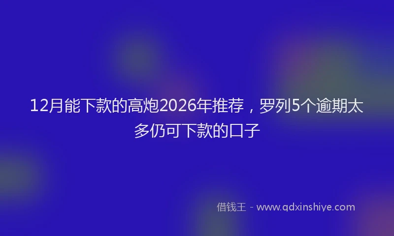 12月能下款的高炮2026年推荐，罗列5个逾期太多仍可下款的口子