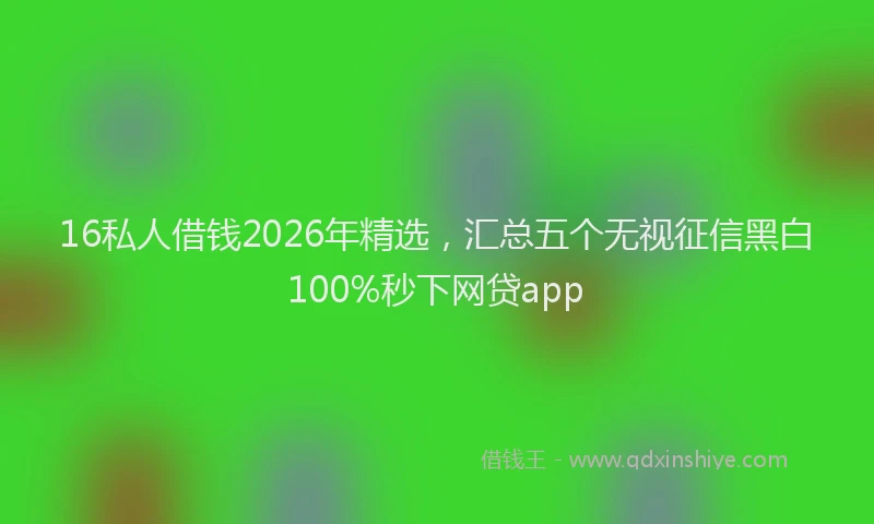 16私人借钱2026年精选，汇总五个无视征信黑白100%秒下网贷app