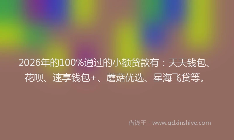2026年的100%通过的小额贷款有:天天钱包、花呗、速享钱包+、蘑菇优选、星海飞贷等。