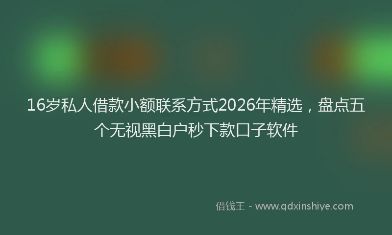 16岁私人借款小额联系方式2026年精选，盘点五个无视黑白户秒下款口子软件