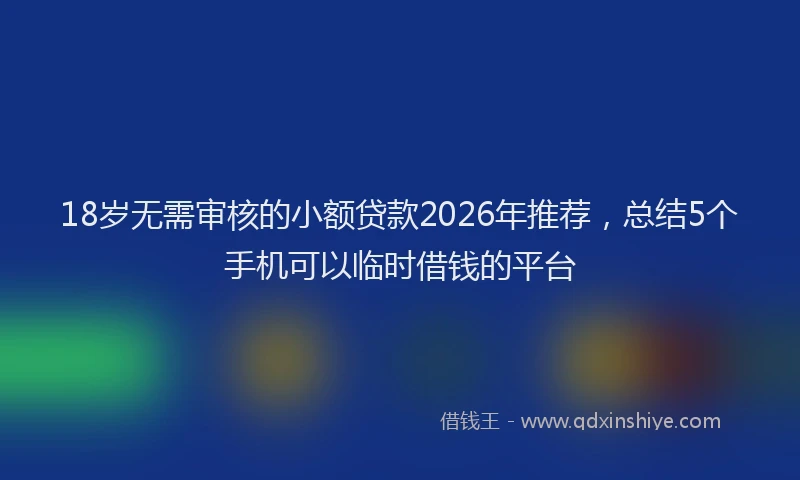 18岁无需审核的小额贷款2026年推荐,总结5个手机可以临时借钱的平台