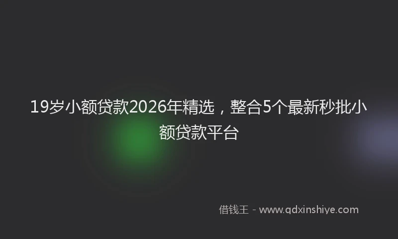 19岁小额贷款2026年精选，整合5个最新秒批小额贷款平台