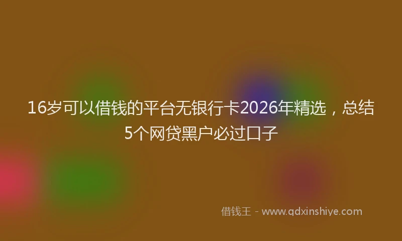 16岁可以借钱的平台无银行卡2026年精选，总结5个网贷黑户必过口子