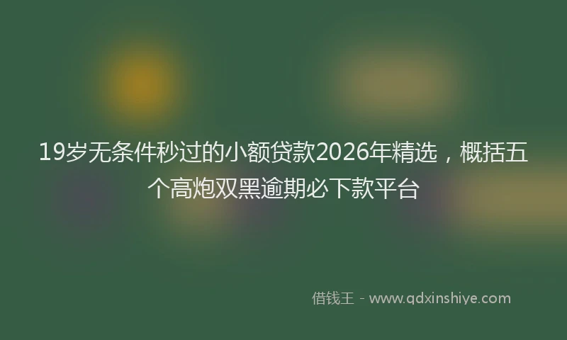 19岁无条件秒过的小额贷款2026年精选，概括五个高炮双黑逾期必下款平台