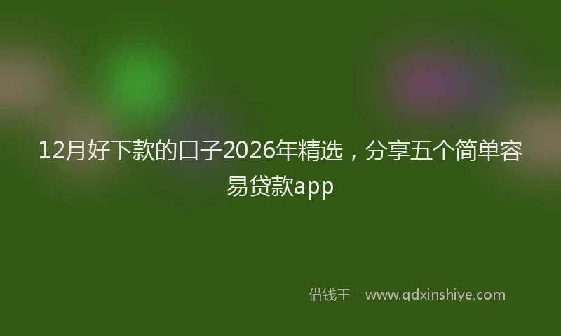 12月好下款的口子2026年精选，分享五个简单容易贷款app