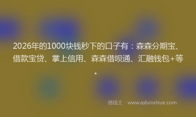 2026年的1000块钱秒下的口子有:森森分期宝、借款宝贷、掌上信用、森森借呗通、汇融钱包+等。
