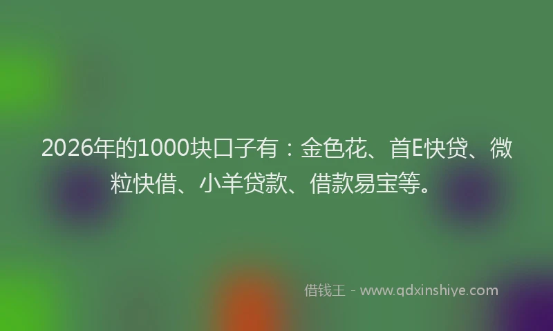 2026年的1000块口子有：金色花、首E快贷、微粒快借、小羊贷款、借款易宝等。