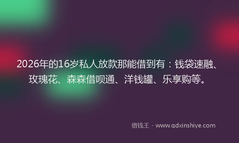2026年的16岁私人放款那能借到有:钱袋速融、玫瑰花、森森借呗通、洋钱罐、乐享购等。