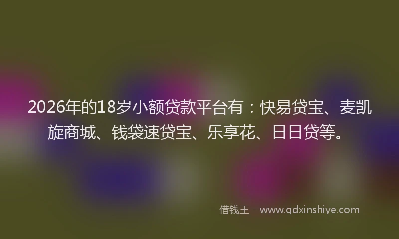 2026年的18岁小额贷款平台有：快易贷宝、麦凯旋商城、钱袋速贷宝、乐享花、日日贷等。