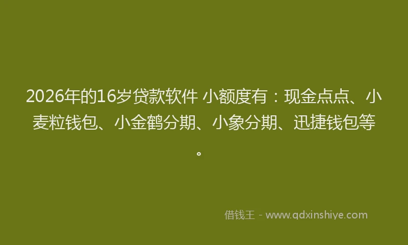 2026年的16岁贷款软件 小额度有:现金点点、小麦粒钱包、小金鹤分期、小象分期、迅捷钱包等。