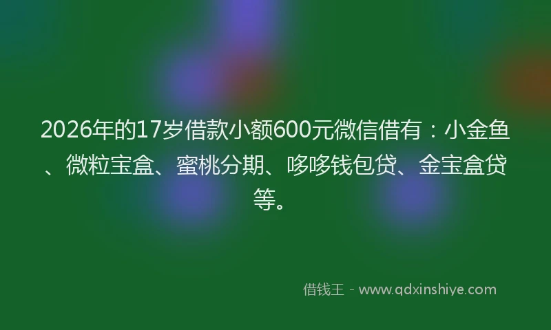 2026年的17岁借款小额600元微信借有：小金鱼、微粒宝盒、蜜桃分期、哆哆钱包贷、金宝盒贷等。