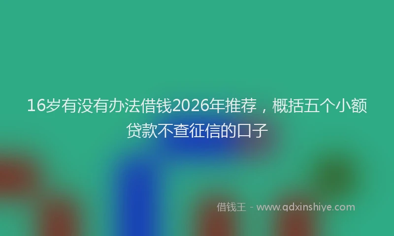 16岁有没有办法借钱2026年推荐，概括五个小额贷款不查征信的口子