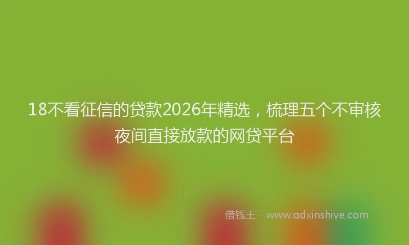 18不看征信的贷款2026年精选,梳理五个不审核夜间直接放款的网贷平台