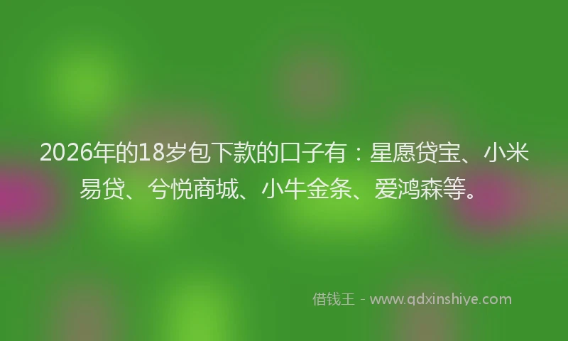 2026年的18岁包下款的口子有：星愿贷宝、小米易贷、兮悦商城、小牛金条、爱鸿森等。