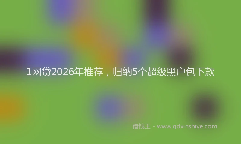 1网贷2026年推荐，归纳5个超级黑户包下款