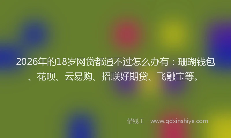 2026年的18岁网贷都通不过怎么办有:珊瑚钱包、花呗、云易购、招联好期贷、飞融宝等。