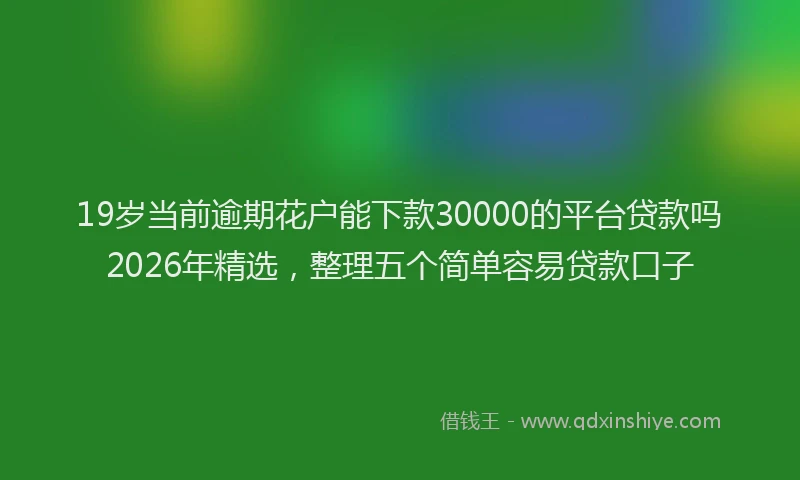 19岁当前逾期花户能下款30000的平台贷款吗2026年精选，整理五个简单容易贷款口子