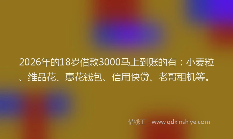 2026年的18岁借款3000马上到账的有：小麦粒、维品花、惠花钱包、信用快贷、老哥租机等。