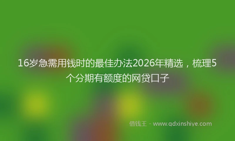 16岁急需用钱时的最佳办法2026年精选，梳理5个分期有额度的网贷口子