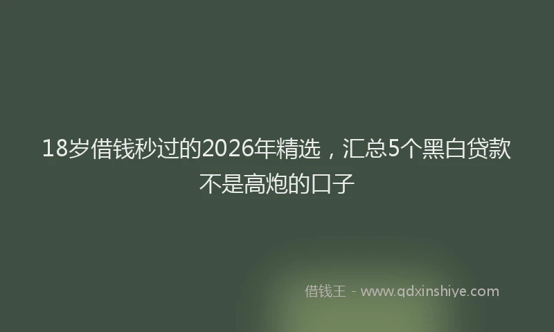 18岁借钱秒过的2026年精选，汇总5个黑白贷款不是高炮的口子