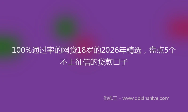 100%通过率的网贷18岁的2026年精选，盘点5个不上征信的贷款口子