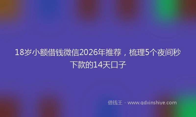 18岁小额借钱微信2026年推荐，梳理5个夜间秒下款的14天口子