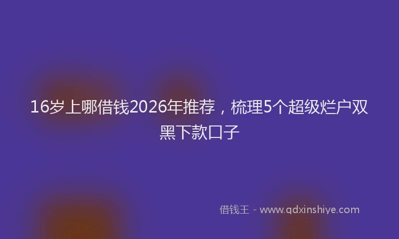 16岁上哪借钱2026年推荐,梳理5个超级烂户双黑下款口子