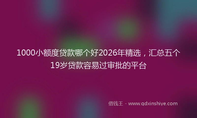 1000小额度贷款哪个好2026年精选,汇总五个19岁贷款容易过审批的平台