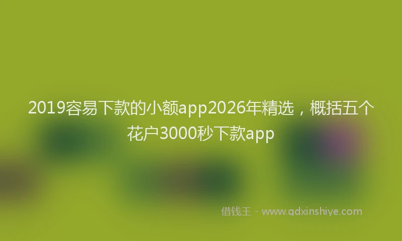 2019容易下款的小额app2026年精选,概括五个花户3000秒下款app