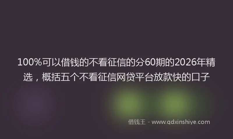 100%可以借钱的不看征信的分60期的2026年精选,概括五个不看征信网贷平台放款快的口子