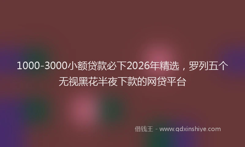 1000-3000小额贷款必下2026年精选，罗列五个无视黑花半夜下款的网贷平台