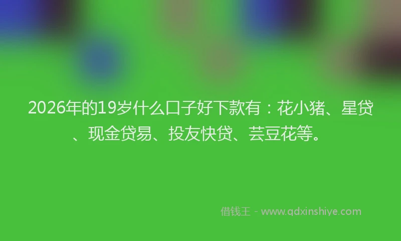 2026年的19岁什么口子好下款有：花小猪、星贷、现金贷易、投友快贷、芸豆花等。