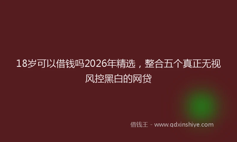 18岁可以借钱吗2026年精选，整合五个真正无视风控黑白的网贷