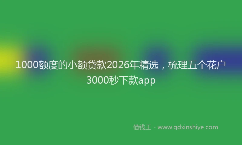 1000额度的小额贷款2026年精选，梳理五个花户3000秒下款app