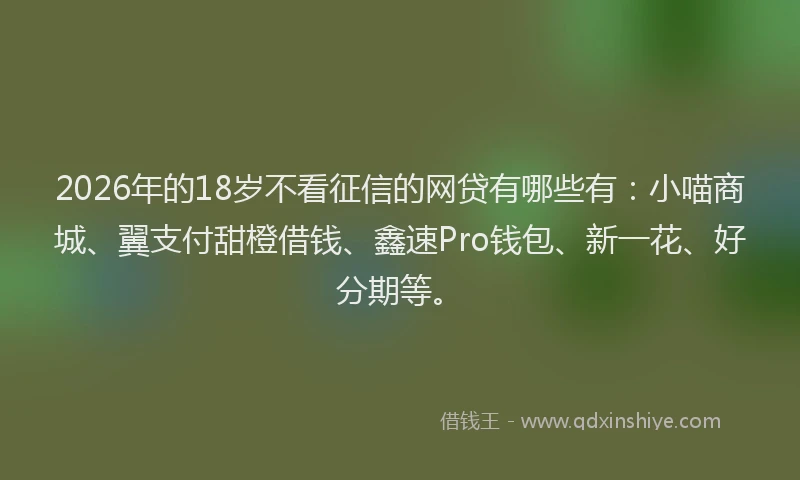 2026年的18岁不看征信的网贷有哪些有：小喵商城、翼支付甜橙借钱、鑫速Pro钱包、新一花、好分期等。