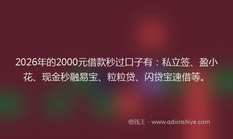 2026年的2000元借款秒过口子有:私立签、盈小花、现金秒融易宝、粒粒贷、闪贷宝速借等。