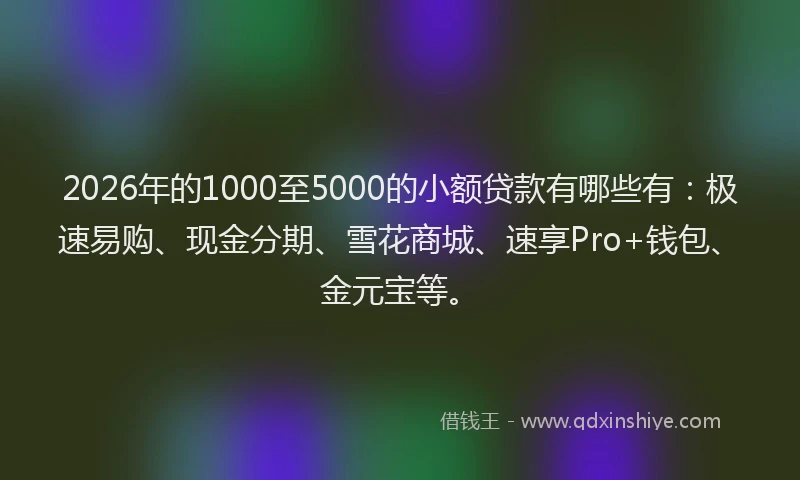 2026年的1000至5000的小额贷款有哪些有：极速易购、现金分期、雪花商城、速享Pro+钱包、金元宝等。