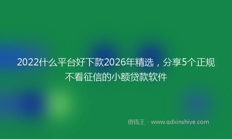 2022什么平台好下款2026年精选,分享5个正规不看征信的小额贷款软件