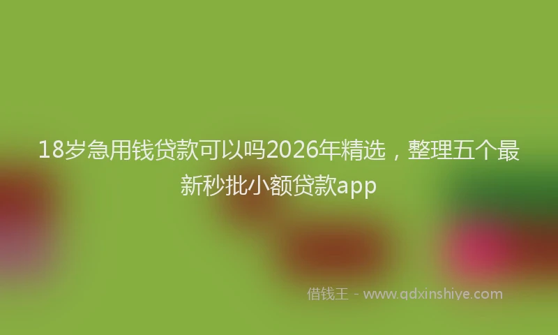 18岁急用钱贷款可以吗2026年精选,整理五个最新秒批小额贷款app