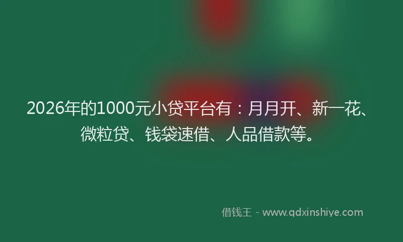 2026年的1000元小贷平台有:月月开、新一花、微粒贷、钱袋速借、人品借款等。