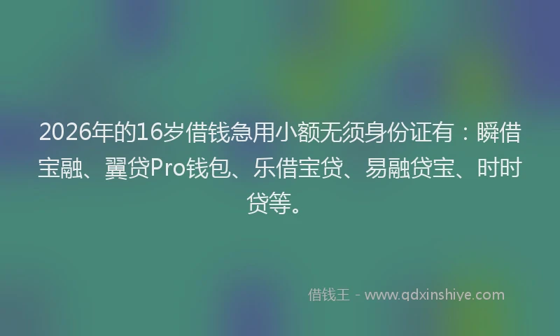 2026年的16岁借钱急用小额无须身份证有：瞬借宝融、翼贷Pro钱包、乐借宝贷、易融贷宝、时时贷等。