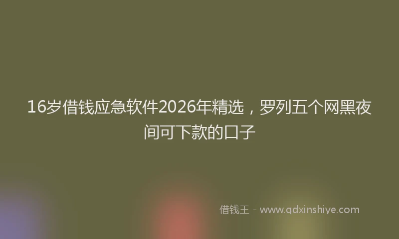 16岁借钱应急软件2026年精选,罗列五个网黑夜间可下款的口子