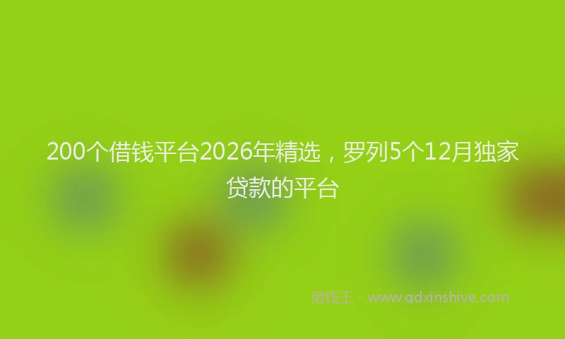 200个借钱平台2026年精选，罗列5个12月独家贷款的平台