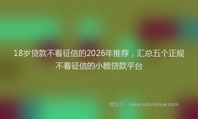 18岁贷款不看征信的2026年推荐,汇总五个正规不看征信的小额贷款平台