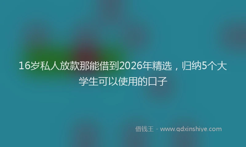 16岁私人放款那能借到2026年精选，归纳5个大学生可以使用的口子