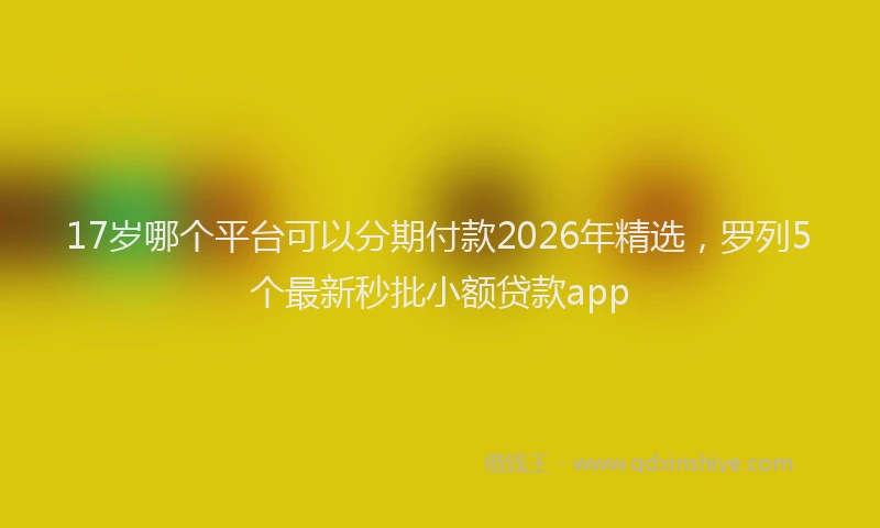 17岁哪个平台可以分期付款2026年精选，罗列5个最新秒批小额贷款app