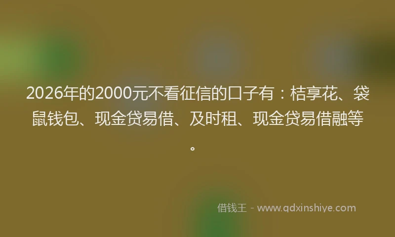 2026年的2000元不看征信的口子有：桔享花、袋鼠钱包、现金贷易借、及时租、现金贷易借融等。