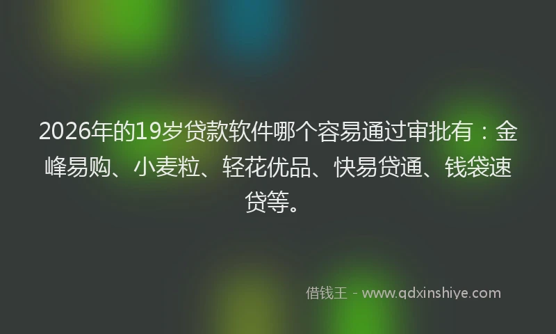 2026年的19岁贷款软件哪个容易通过审批有:金峰易购、小麦粒、轻花优品、快易贷通、钱袋速贷等。